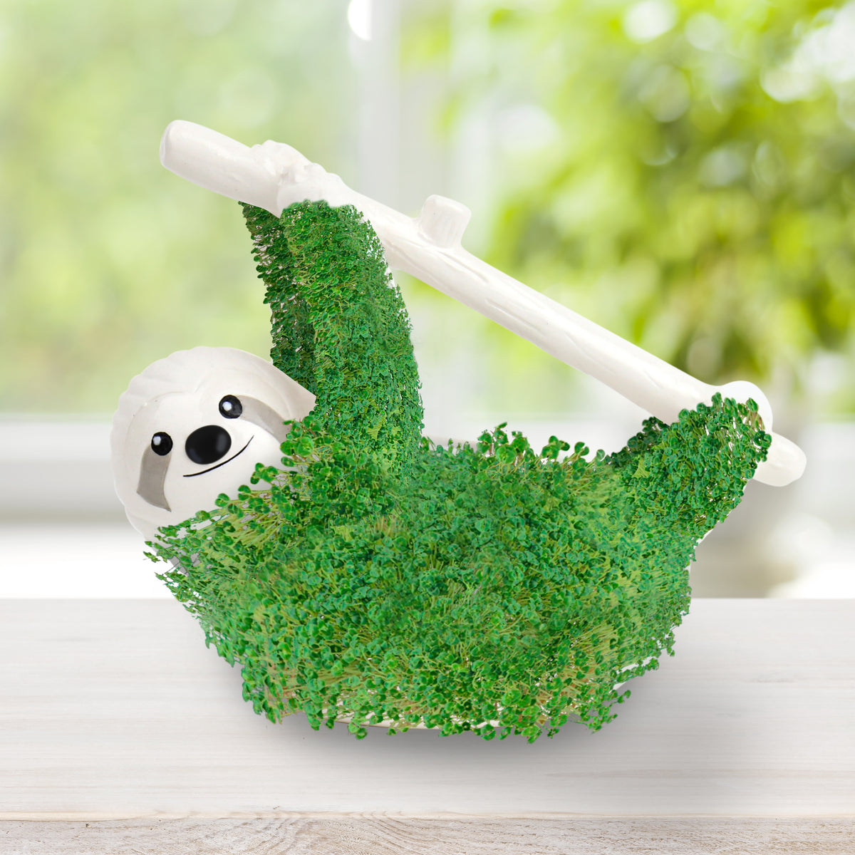 Gift Republic Sloth Planter with Seeds