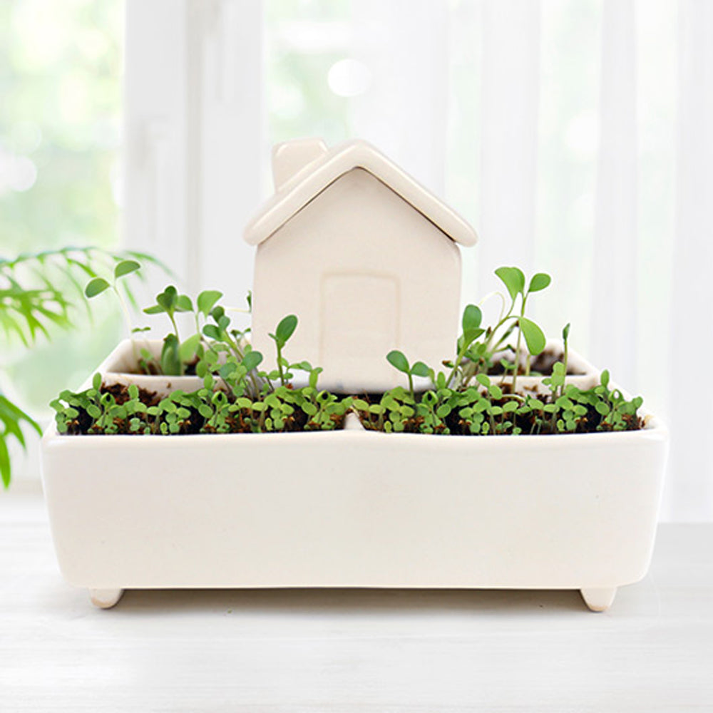 Gift Republic Self Watering House - Herb Garden Grow Kit - Ideal Gift