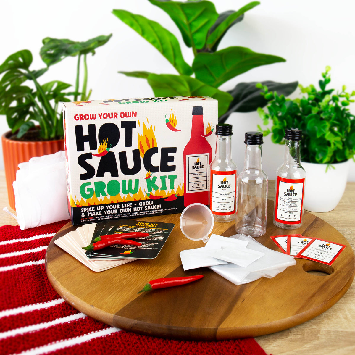 Gift Republic Grow Your Own Hot Sauce Grow Kit