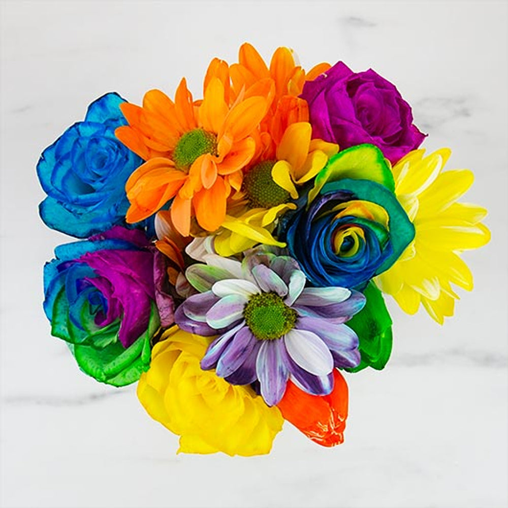 Gift Republic DIY Rainbow Flowers Kit