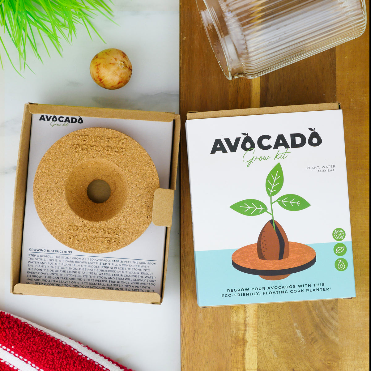 Gift Republic Avocado Grow It Kit