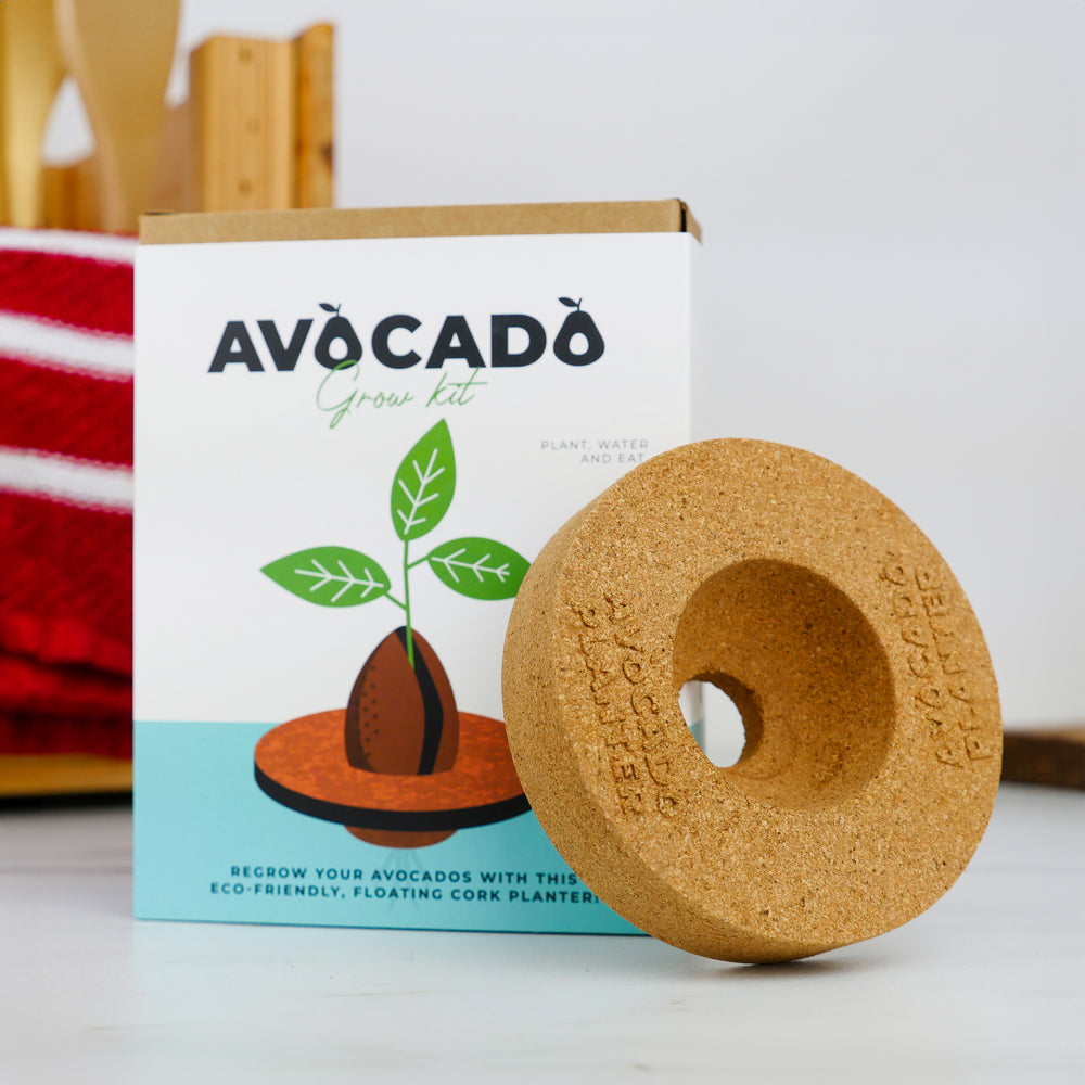 Gift Republic Avocado Grow It Kit