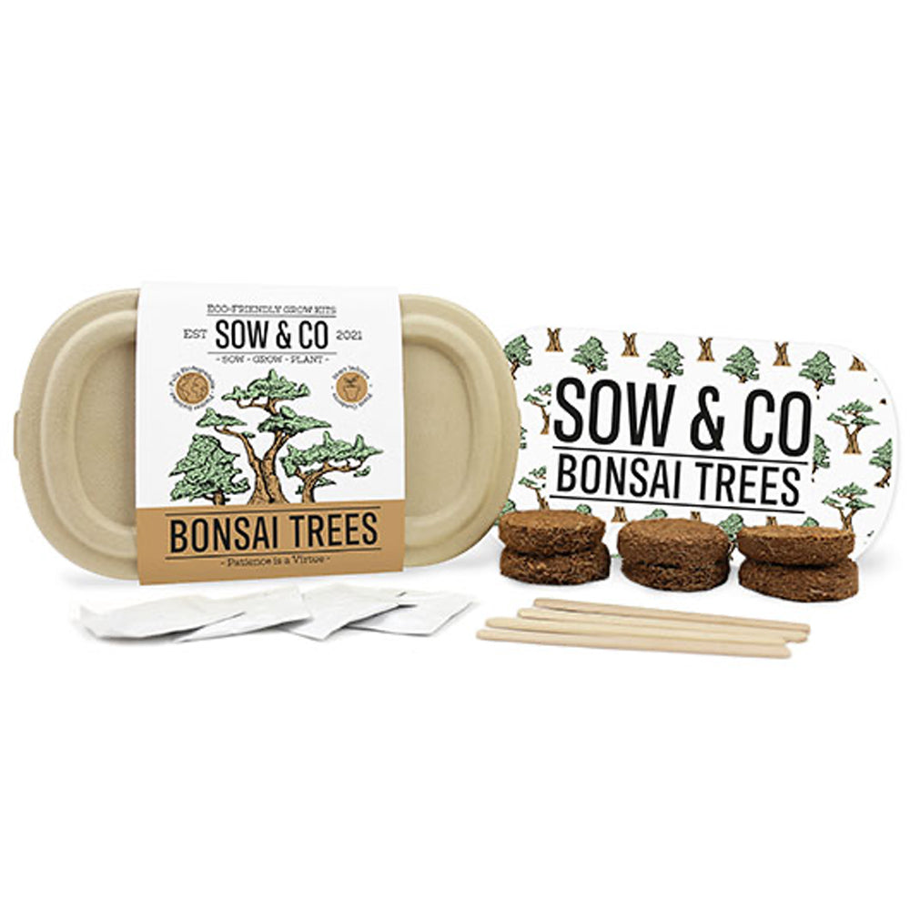 Gift Republic Bonsai Trees Sow & Co - Ideal Gift