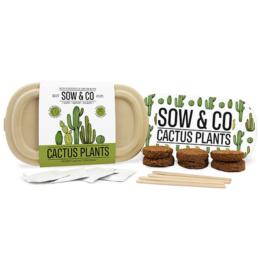 Gift Republic Cactus Plants Sow & Co - Ideal Gift