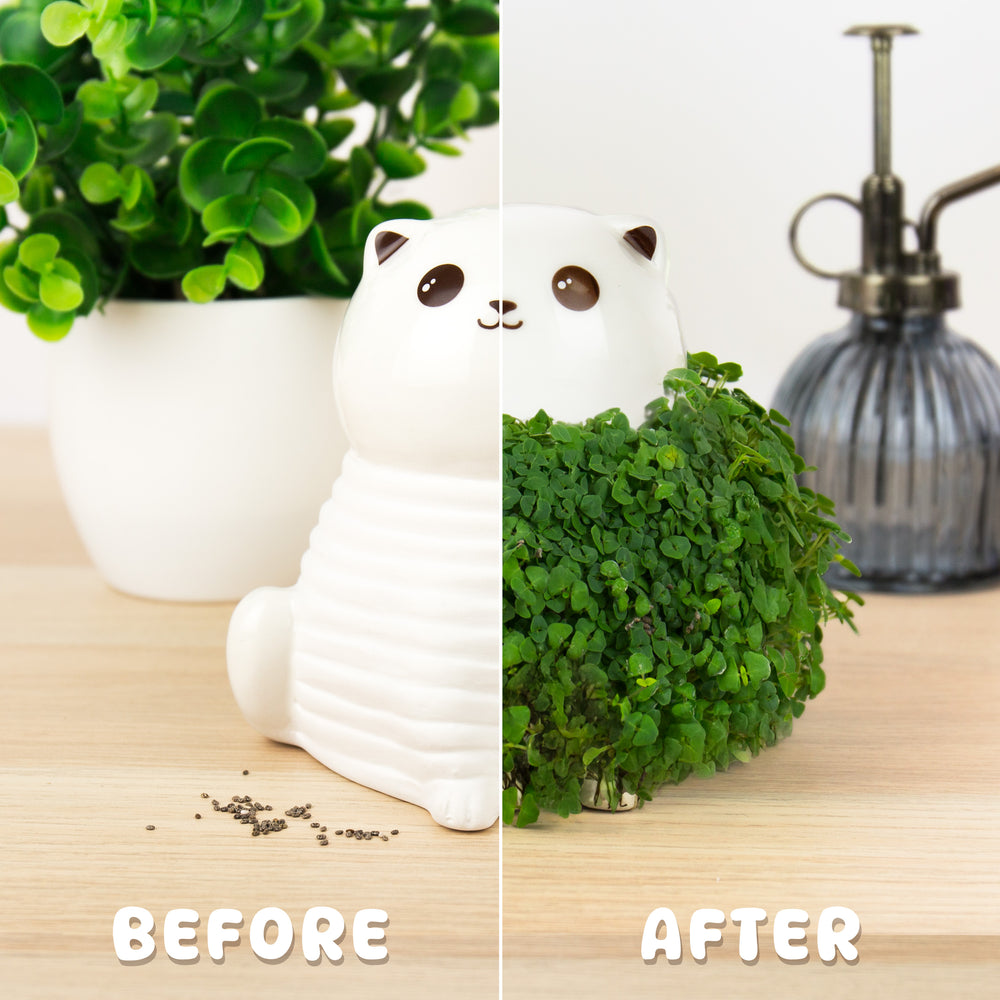Gift Republic Cat Chia Planter