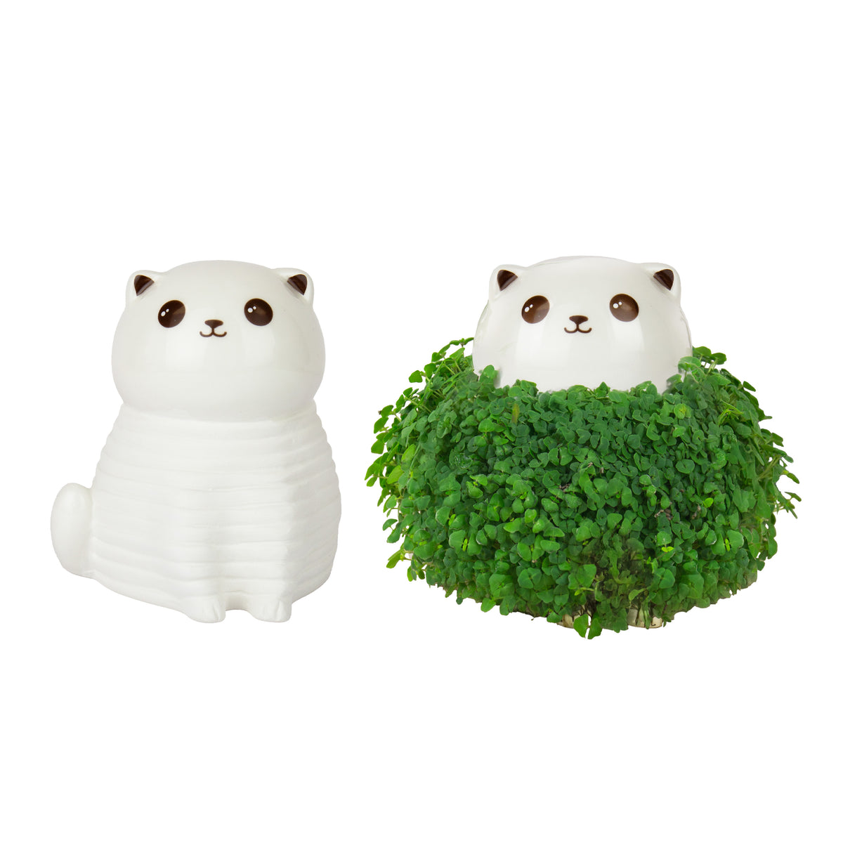 Gift Republic Cat Chia Planter