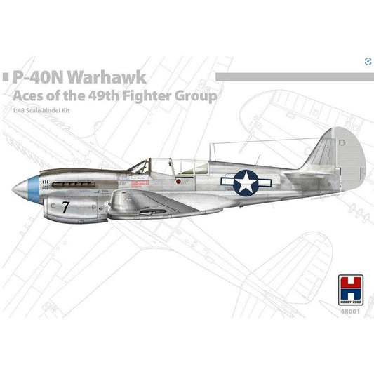 Hobby 2000 48001 P-40N Warhawk Aces of The 49th FG 1:48 Model Kit