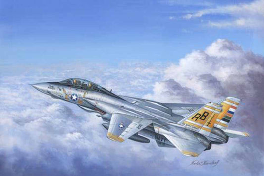 Hobby Boss 80366 Grumman F-14A Tomcat 1:48 Aircraft Model Kit