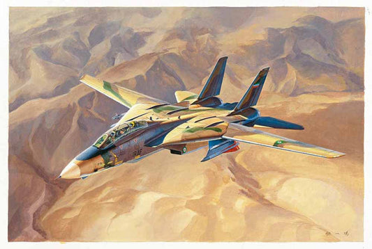 Hobby Boss 81771 Grumman F-14A Tomcat Tomcat IRIAF 1:48 Aircraft Model Kit