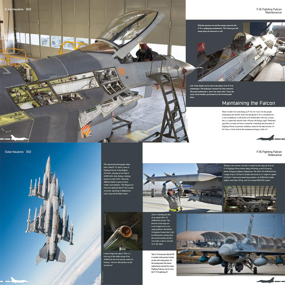 Aircraft in Details 002: F-16 Fighting Eagle - D.Hawkins - HMH Publications