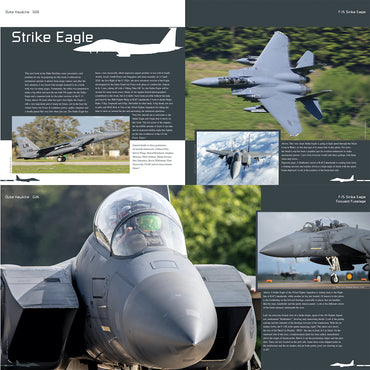 Aircraft in Details 26: Boeing F-15 E/K/SG Strike Eagle - D.Hawkins - HMH