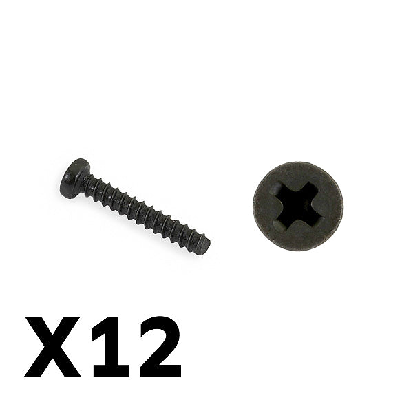 FTX Tracer Pan Head Self Tapping Screws Pbho2*12mm FTX9755