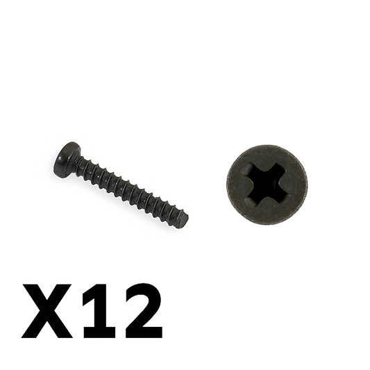 FTX Tracer Pan Head Self Tapping Screws Pbho2*12mm FTX9755