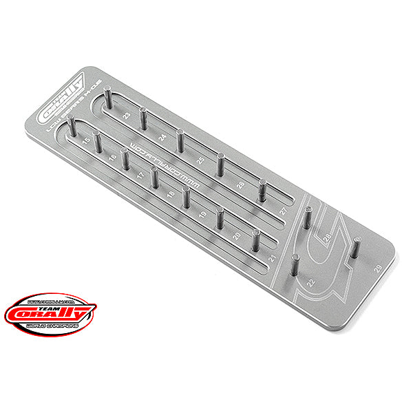 Corally Pinion Caddy M0.6 15 Pinions 3.17mm C-16202