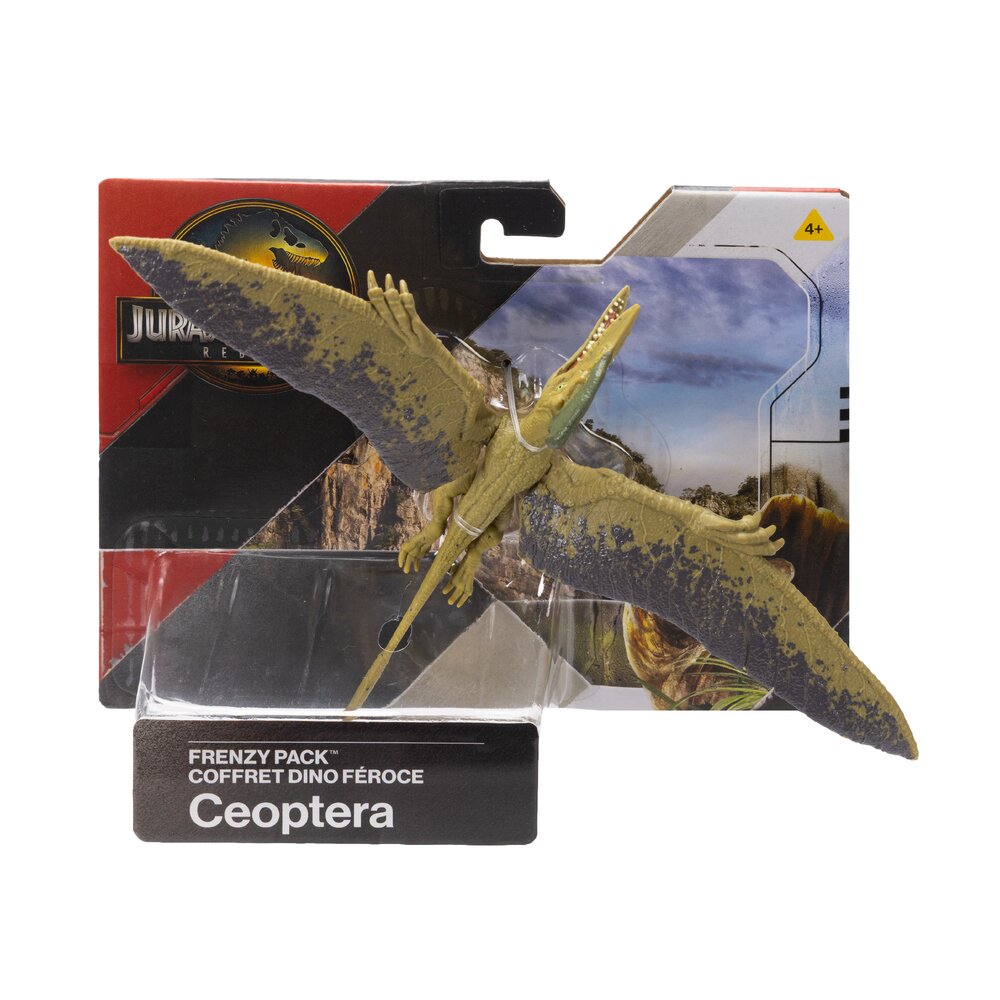 Jurassic World Frenzy Pack Ceoptera Dinosaur Figure Age 4+ Mattel JGB73