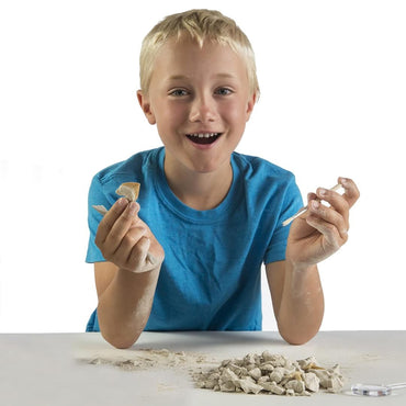 National Geographic Shark Teeth Dig Kit STEM Toy