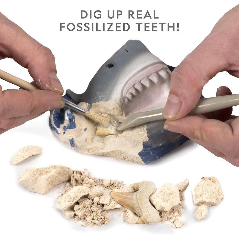 National Geographic Shark Teeth Dig Kit STEM Toy