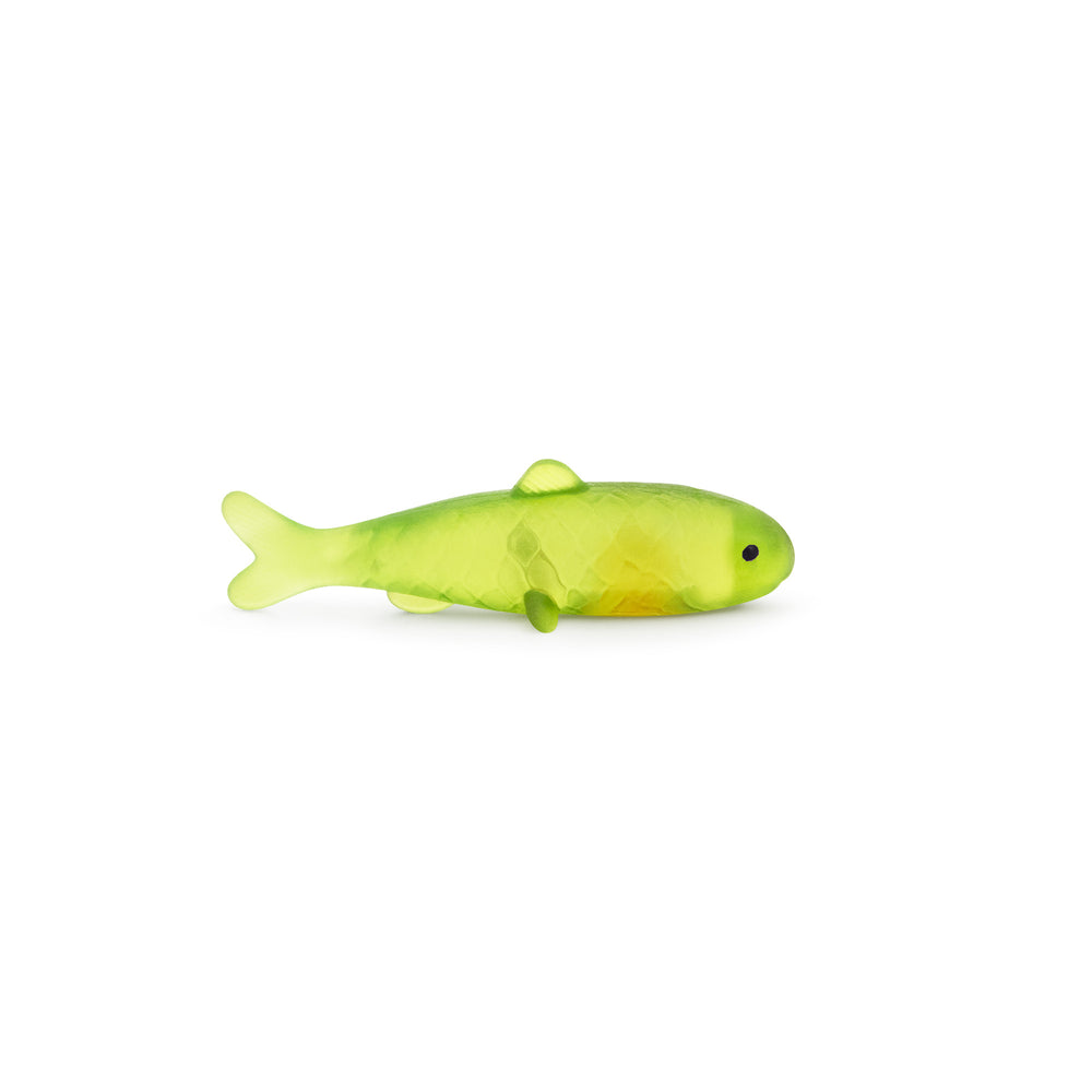 Mystery Squishy Sardines - Squish Sensory Toy by Keycraft
