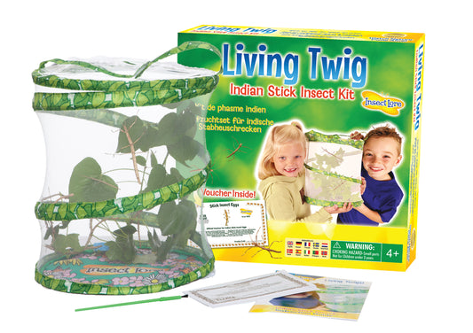 Insect Lore Living Twig Stick Insect Kit Growing Kit with Voucher