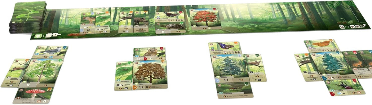 Forest Shuffle Card Game 2-5 Players
