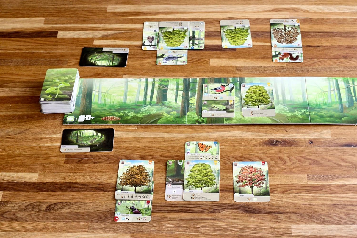 Forest Shuffle Card Game 2-5 Players