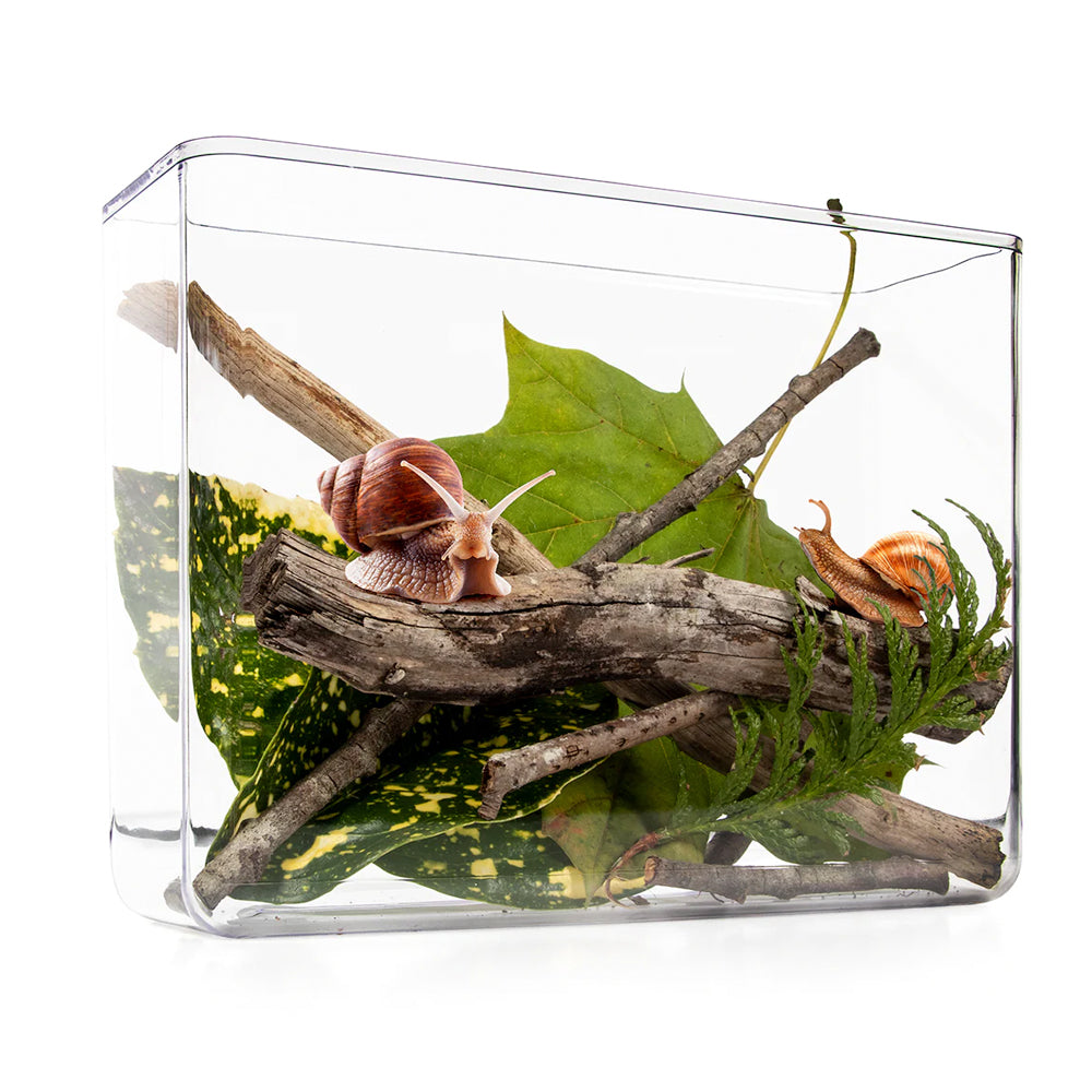 My Living World - Snail World Tank