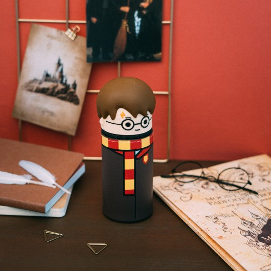 Harry Potter Harry 3D Pencil Case Grupo Erik
