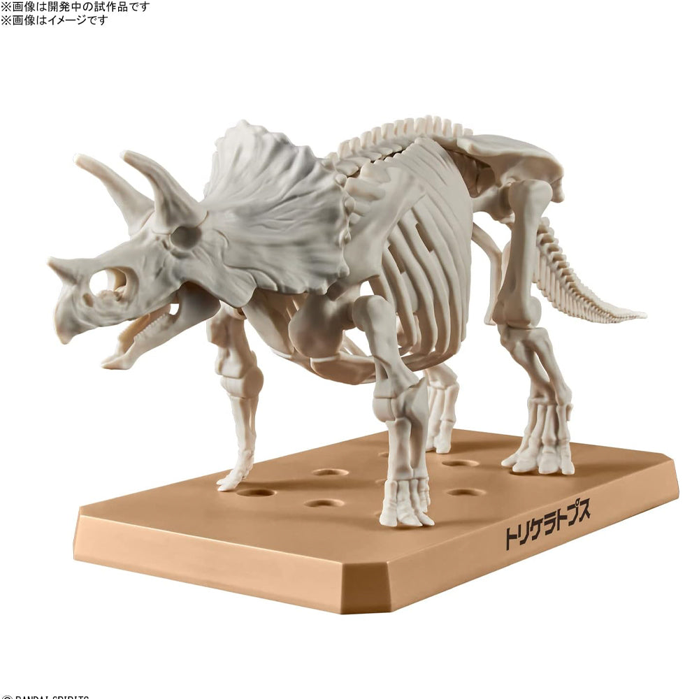Bandai Plannosaurus: Triceratops Dinosaur Plastic Model Kit 64263