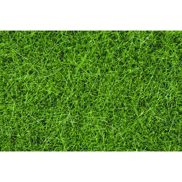 NOCH Dark Green Wild Grass 6mm (100g) HO Gauge Scenics 07094