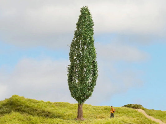 Noch Poplar Master Tree 18cm N20130