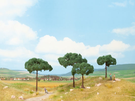 Noch 21992 Stone Pine Trees (2)