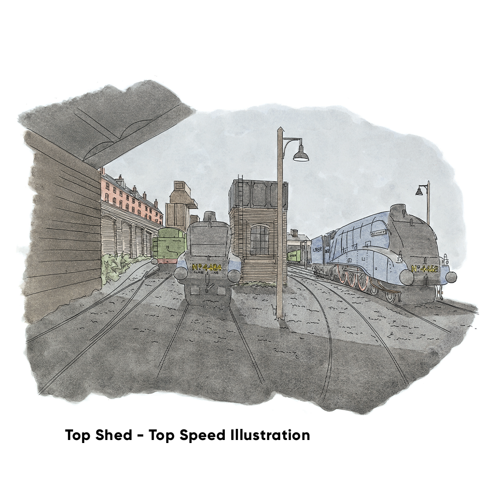 PECO Plan 21: Top Shed - Top Speed - Complete HO/OO Gauge Track Pack