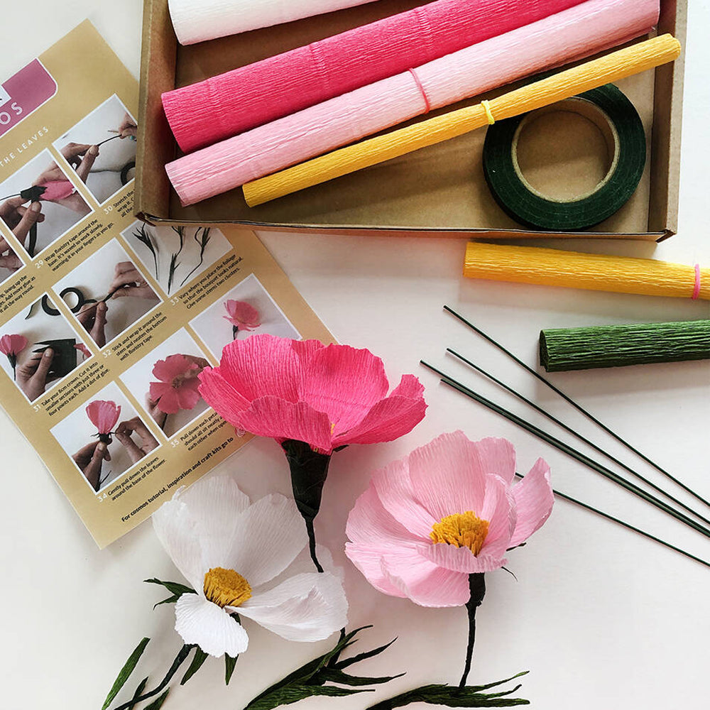 Bergin & Bath Cosmos Paper Flower Craft Kit