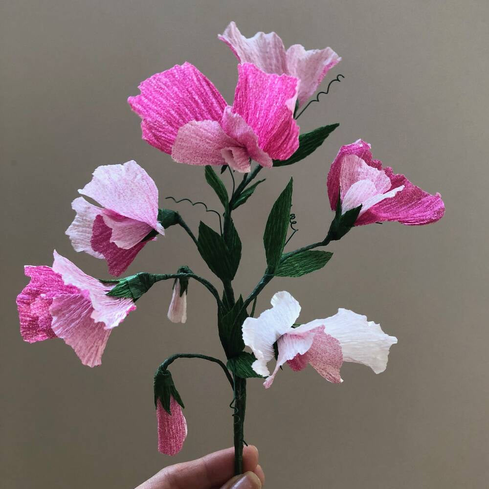 Bergin & Bath Sweet Peas Paper Flower Craft Kit