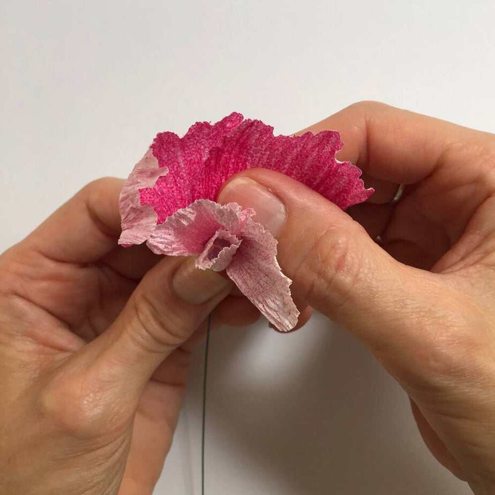 Bergin & Bath Sweet Peas Paper Flower Craft Kit