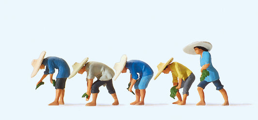 Preiser 10572 At the Rice Field (5) Exclusive Figure Set HO