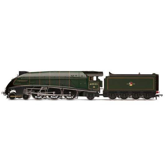 Hornby R30552SS BR Class A4 ‘Seagull’ 60033 - Steam Generator