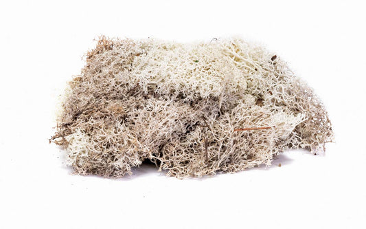 Hornby R7193 Lichen - Stone Grey OO Gauge