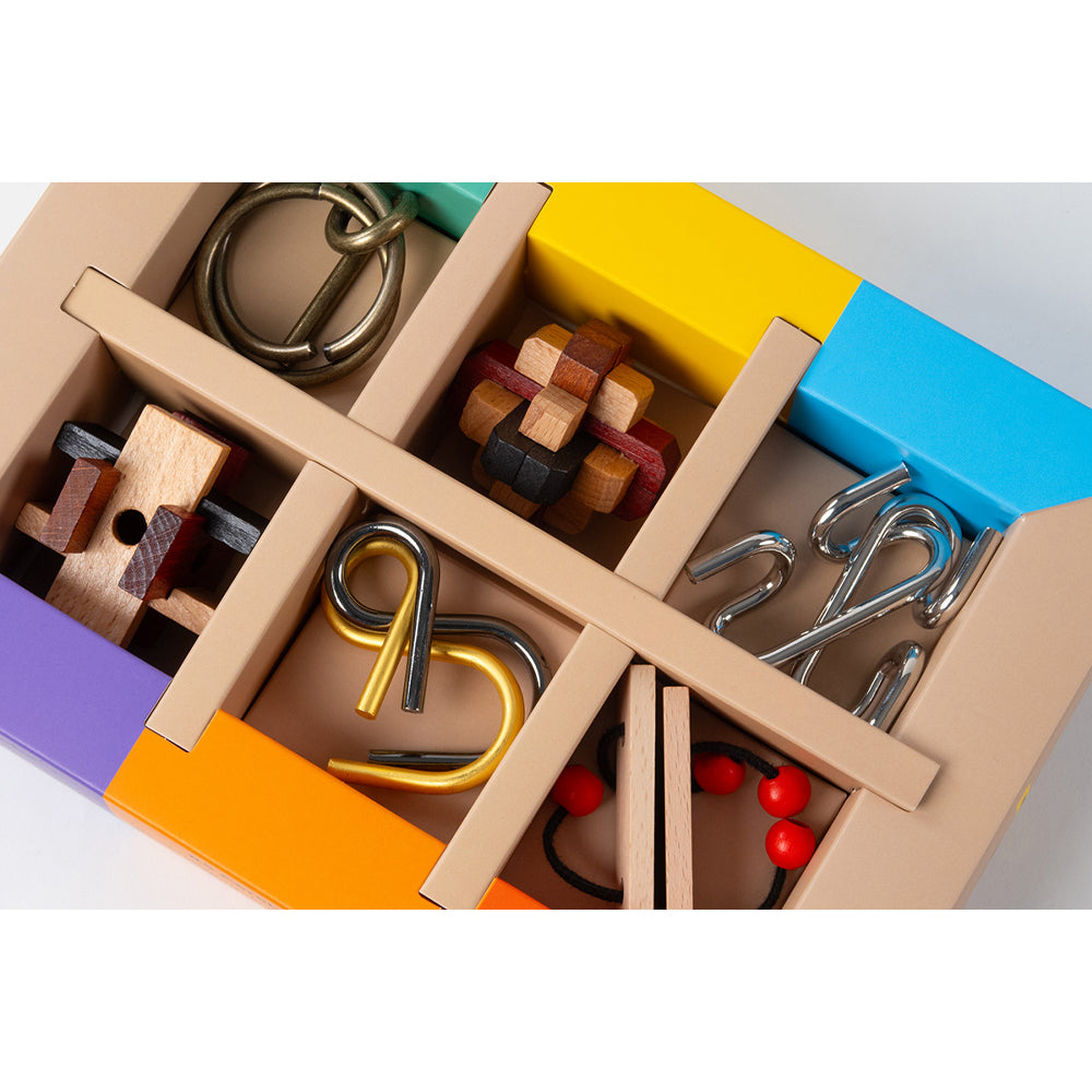 Brain Puzzle - Set of 6 Wooden & Metal Puzzles from Recent Toys RT5144