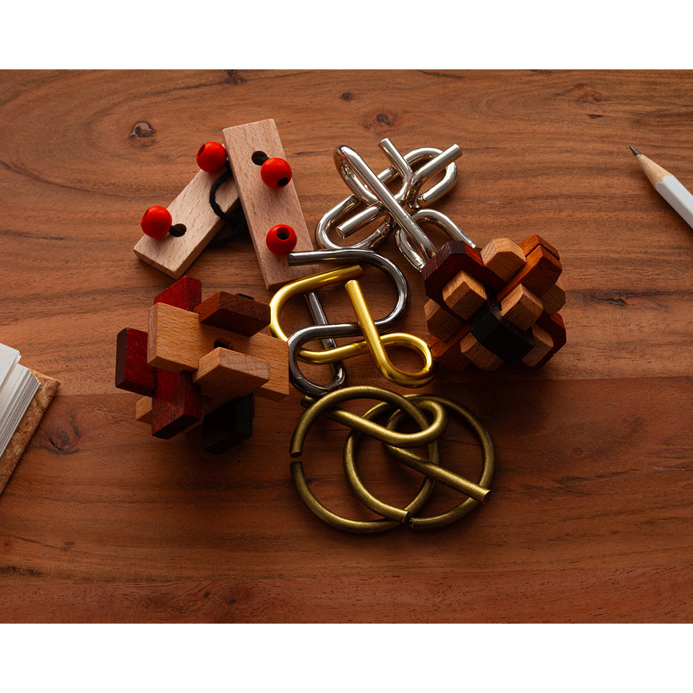 Brain Puzzle - Set of 6 Wooden & Metal Puzzles from Recent Toys RT5144