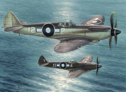 Special Hobby 48116 Seafire Mk.XV Far East Service 1:48 Aircraft Model Kit