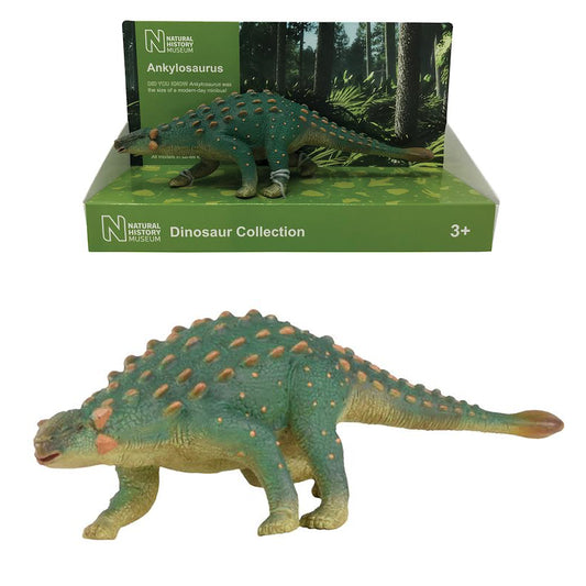 NH Museum TW29106 Natural History Museum Ankylosaurus