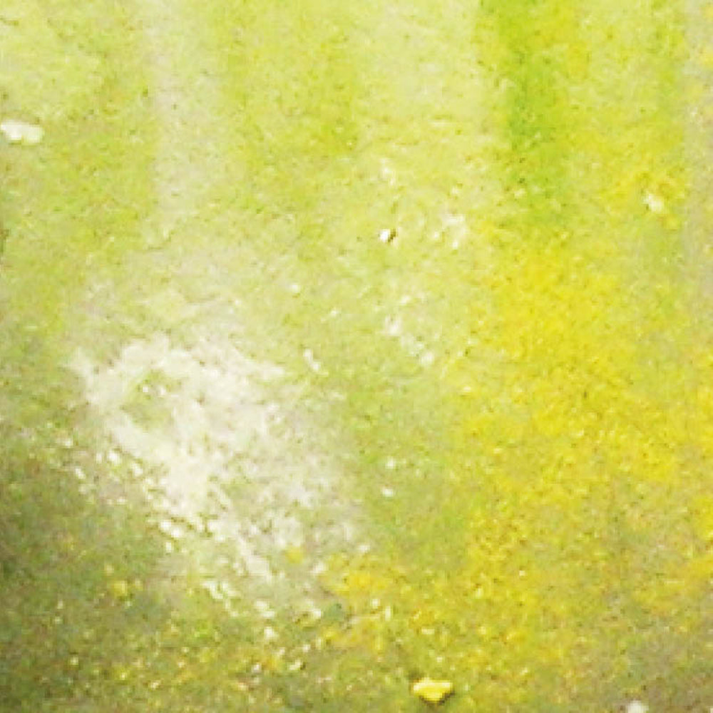 Vallejo Weathering FX - Slimy Grime Light 40ml 73823