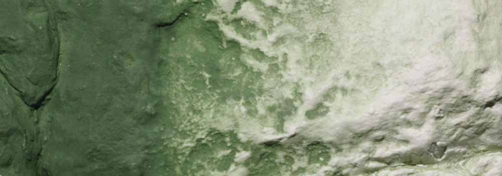 Woodland Scenics C1228 Green Undercoat Earth Colours Liquid Pigment 115ml