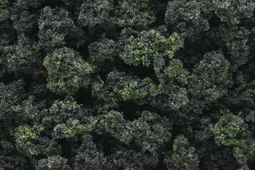 Woodland Scenics FC1649 Forest Blend Bushes Scenic Brush Foliage Flock
