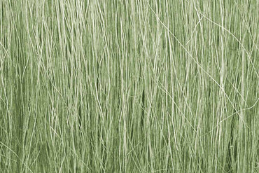 Woodland Scenics FG173 Light Green Field Grass Scenic Brush Foliage Flock