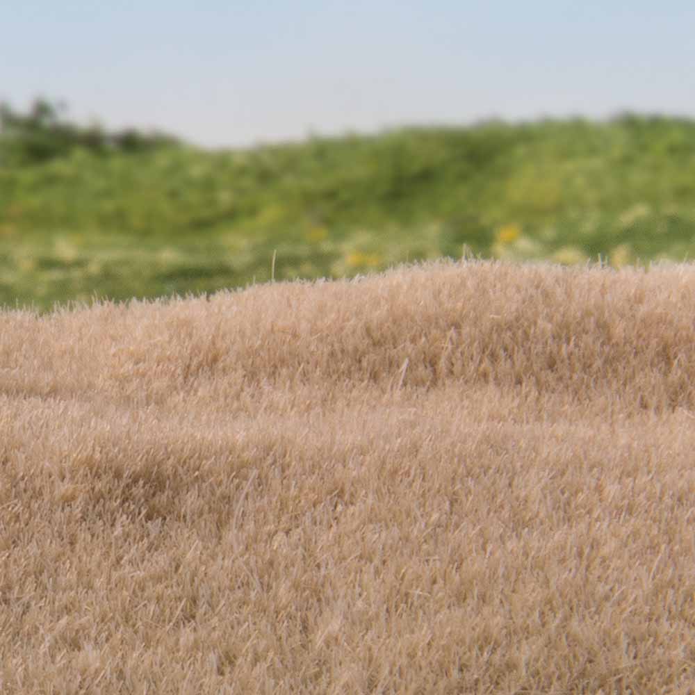 Woodland Scenics FS616 2mm Static Grass Straw Scenic Brush Foliage Flock