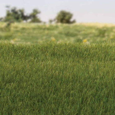 Woodland Scenics FS617 4mm Static Grass Dark Green Scenic Brush Foliage Flock