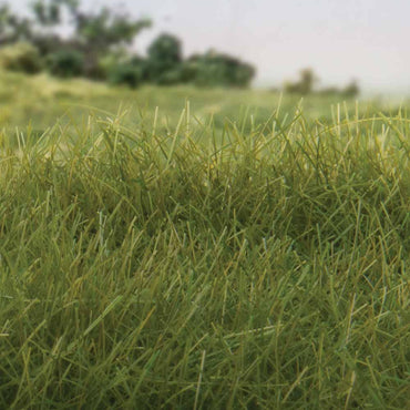 Woodland Scenics FS625 12mm Static Grass Dark Green Scenic Brush Foliage Flock