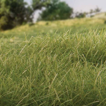 Woodland Scenics FS626 12mm Static Grass Medium Green Scenic Brush Foliage